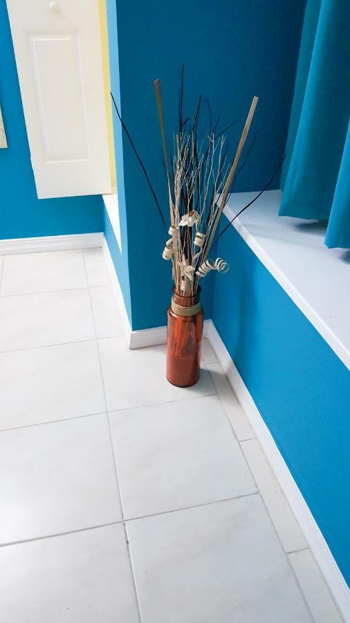 Donhead New Kingston Apt 5 Bagian luar foto